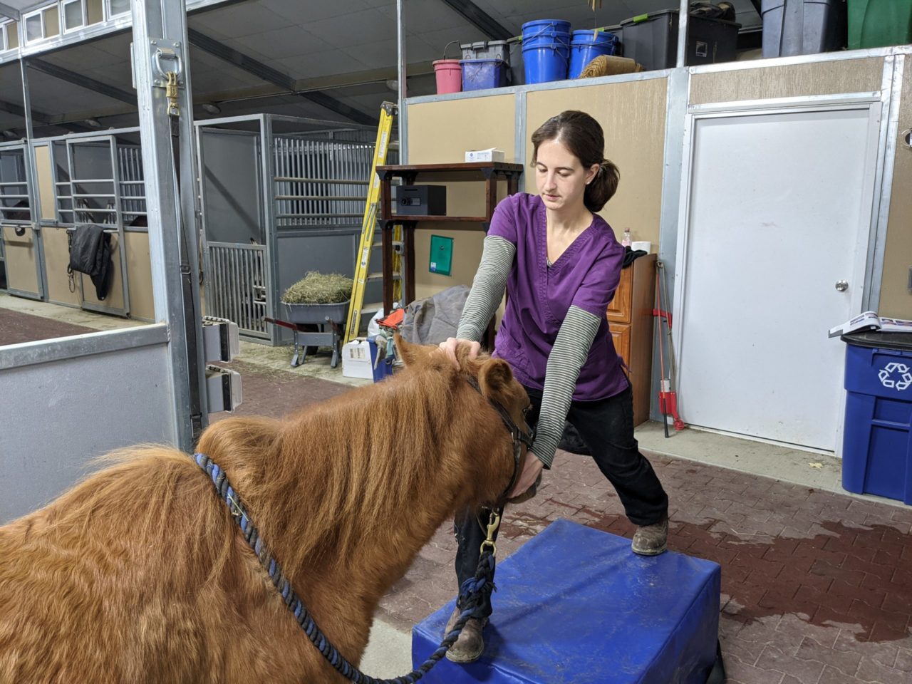 Dr. Kelleher with a horse